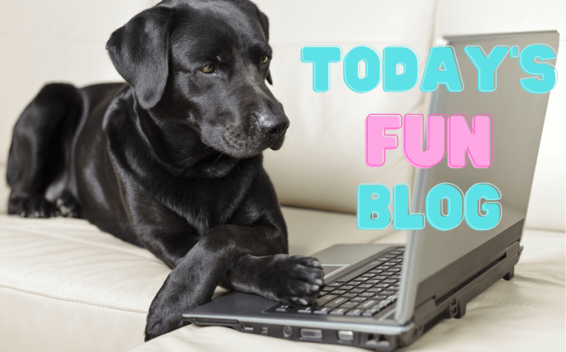 Today's fun blog